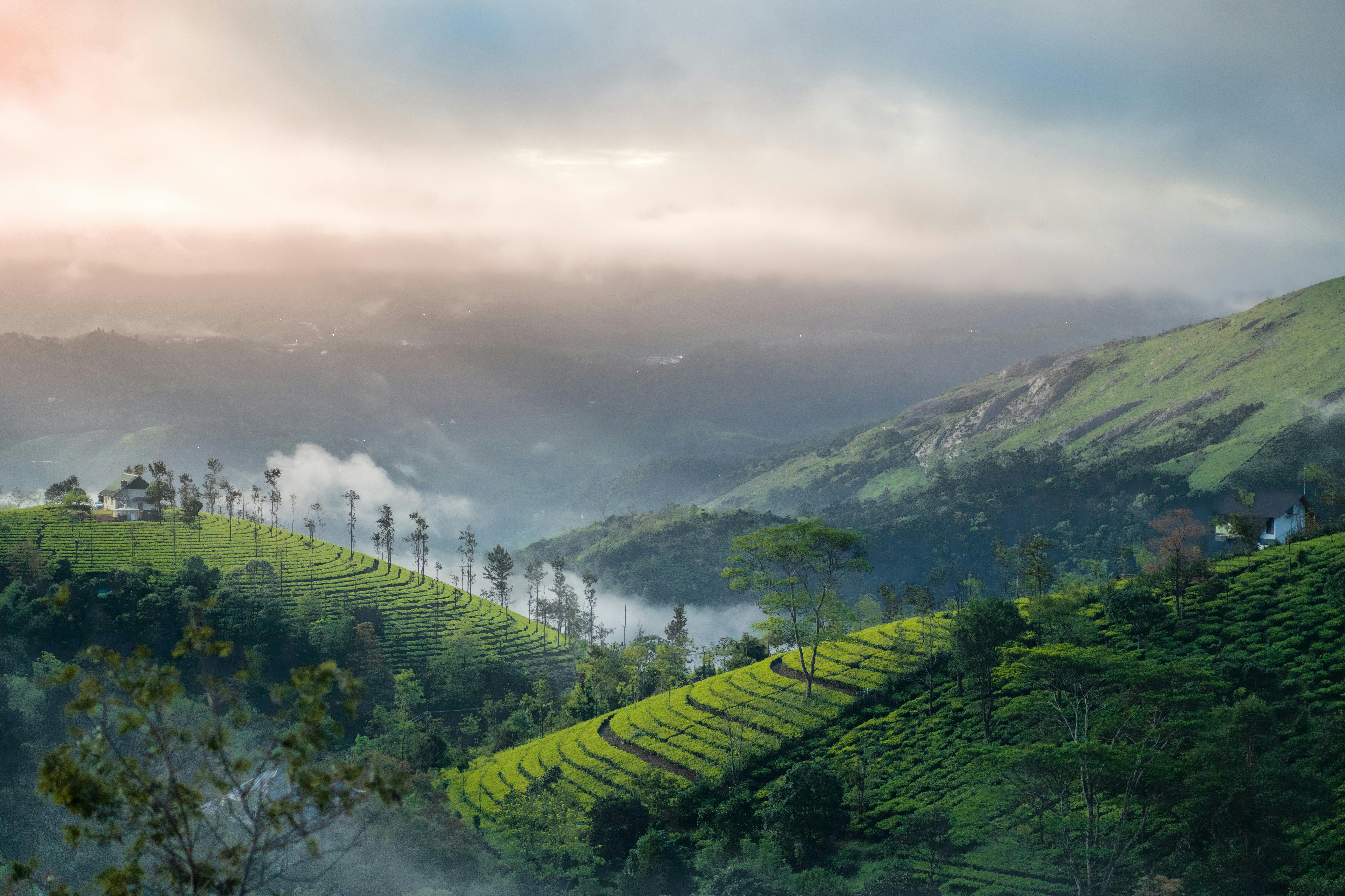 Header Background