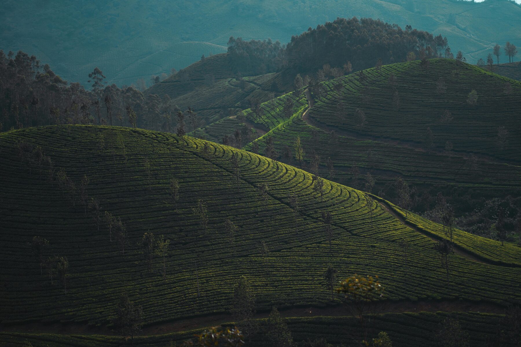 Munnar